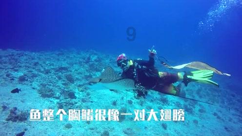 逃离违建房屋6